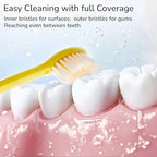 Folding Toothbrush with Built-in Cover, Perfect for Travel, Hiking & Camping, Compact & Portable, Toothbrush with Soft Bristles, for Adults & Kids (3 Count)