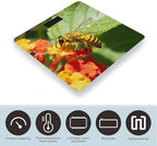 Yellow Bee Body Weight Scale Accurate Stable Digital Bathroom Scale Safe Anti-Slip Home Scale with LCD Display, Anti-Slip Base & Safe Rounded Edge Design for Home Use