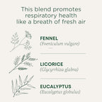 Traditional Medicinals Tea, Breathe Easy with Eucalyptus Mint, Promotes Respiratory Health, Kosher, Non-GMO, Caffeine-Free, Compostable - 16 Tea Bags (Pack of 1)