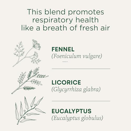 Traditional Medicinals Tea, Breathe Easy with Eucalyptus Mint, Promotes Respiratory Health, Kosher, Non-GMO, Caffeine-Free, Compostable - 16 Tea Bags (Pack of 1)
