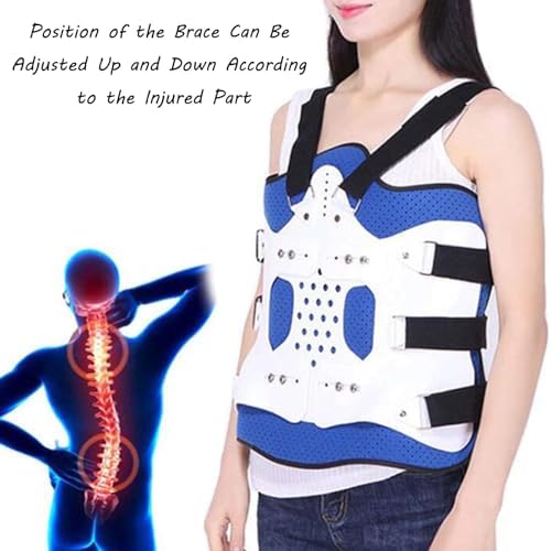 SFKLYU Thoracolumbar Fixed Spinal Brace Adjustable Thoracolumbar Fixation Bracket Lumbar Spine Thoracic Postoperative Protection Device for Spine Lumbar Compression Fracture Rehabilitation,A2