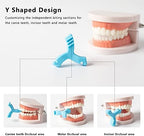 LOVEWEE Aligner Chewies, 4 PCS Y-Shaped Orthodontics Aligner Chewies for Trays Seater Invisible Braces Orthodontic Munchies(Blueberry, Watermelon, Mint, Grape)