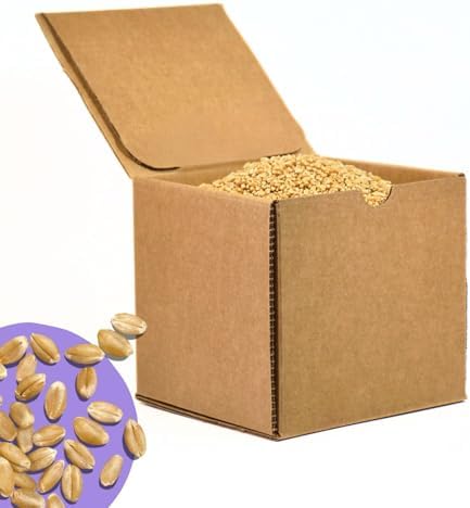 PlainGrains. The Natural Way | 5.5 LB Dry Hard White Wheat Berries | 12.5% AV Protein by Volume | Uncooked, Unground, Whole Grain | Single Box