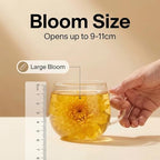 SipSerenity Golden Chrysanthemum Tea Whole Dried Premium Chrysanthemum Flowers, Sulfur-Free,Caffeine-Free Herbal Tea, Natural Blooming Floral Tea for Cup or Teapot,1.18oz (6 PCS)