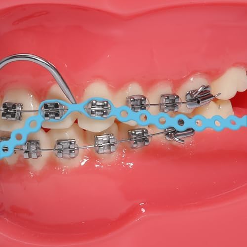 Colourful Elastic Power Chain for Braces Dental Orthodontic Powerchains 3 Sizes Ortho Rubber Band(Long,Blue 15#)