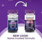 Sambucol Black Elderberry Gummies for Kids - Elderberry Gummies with Zinc and Vitamin C, Chewable Supplement for Kids, Low Sugar, Berry Flavor - 30 Count