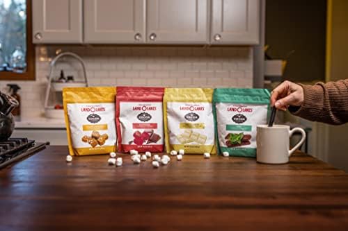 Land O Lakes Cocoa Classics Arctic White Cocoa Mix Pouch, 14.8 Ounce (Pack of 1)