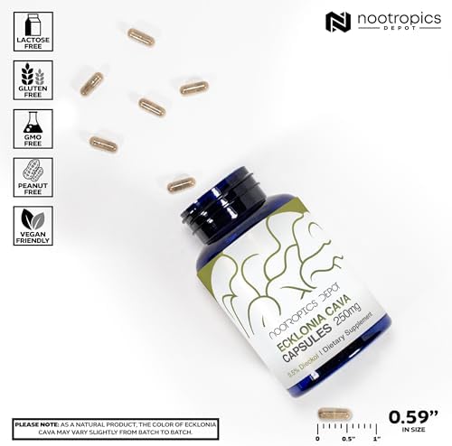 Nootropics Depot Ecklonia cava Capsules | 250mg | 0.5% Dieckol | Brown Seaweed | 60 Count