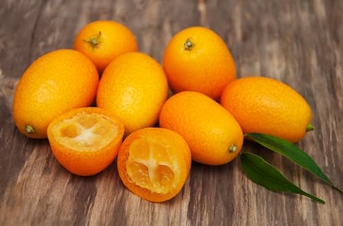 Fresh delicious Kumquat by RawJoy Farms., 2 Pound