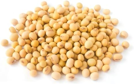 Dairyland Harvest Non-GMO Soybeans – 100% Natural Whole Soya beans for Soy Milk & Tofu Making – Food-Grade, High-Protein, USA Grown 1 lb