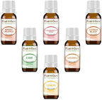 Citrus Essential Oil Set 6-10 ml 100% Pure Therapeutic Grade Cold Pressed from Peels of Sweet Orange, Lime, Pink Grapefruit, Lemon, Tangerine and Citrus Blast Blend Great for Aromatherapy Diffuser