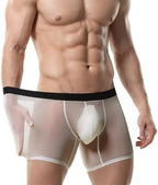 Mens See Through Underwear Mesh Ice Silk Boxers Briefs Transparent Sexy Pouch Underpants Extended Anti Crotch Shorts