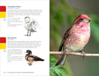 My Awesome Field Guide to North American Birds: Find and Identify Your Feathered Friends (My Awesome Field Guide for Kids)
