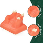 Dental Implant Training Model with Maxillary Sinus Lift Practice Realistic Simulation Jaw Cavity Lift Implant Placement Model