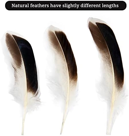 THARAHT Duck Feathers 120pcs 4-6 inch 10-15cm Bulk for Crafts Handmade Clothing Hats Home Wedding Party Decoration Feathers,Natural