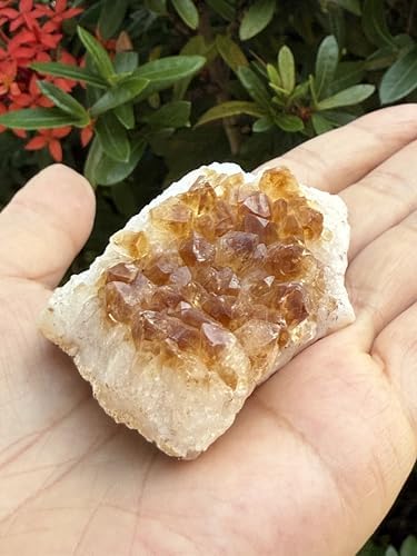GAF TREASURES Large Raw Citrine Cluster, Citrine Cluster, Citrine Rock (Citrine Cluster, 1 Piece)