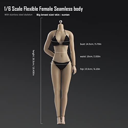Fremego 1/6 Scale Female Body,12inch Asian Girl Type Seamless Figure Body Super Flexible Large Bust Miniature Action Figure Collectible (Suntan Skin AB001S)