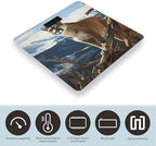 Panther Mountain Lion Bathroom Scale for Body Weight Scales Digital Smart Highly Accurate Bathroom Scales with LCD Display Tempered Glass Non-Slip Automatic Weighing Scale 400 Lb