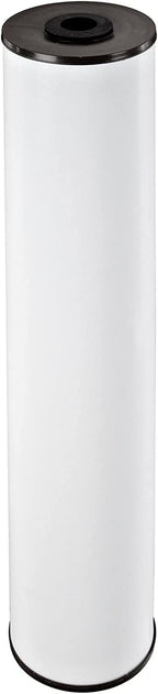 Pentair Pentek RFFE20-BB Big Blue Water Filter, 20-Inch, Whole House Radial Flow Iron Reduction Replacement Cartridge, 20" x 4.5", White