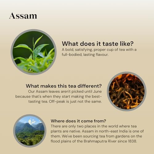 Twinings Assam Tea 80 (Pack of 4)