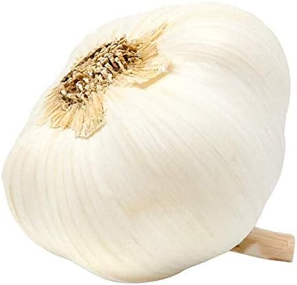 Organic Garlic