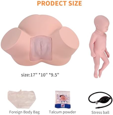 Birth Midwifery Training Model Simulator, Life Size Childbirth Demonstration Obstetrics Gynecology Normal Abnormal Fetal Positions Delivery Maternity Manikin for Teaching Medical