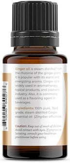 Viva Doria Ginger Essential Oil, 100% Pure Natural, Fresh Ginger Essential Oil, Undiluted, for Aromatherapy | Food Grade, 15 mL (0.5 Fluid Ounce)