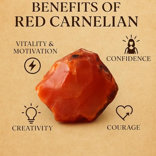 Large 1.25-2.0” Natural Red Carnelian Raw Stone – Healing Crystal for Creativity, Courage & Motivation | 100% Genuine Rough Carnelian Gemstone for Sacral Chakra, Reiki, Meditation & Manifestation