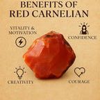 Large 1.25-2.0” Natural Red Carnelian Raw Stone – Healing Crystal for Creativity, Courage & Motivation | 100% Genuine Rough Carnelian Gemstone for Sacral Chakra, Reiki, Meditation & Manifestation