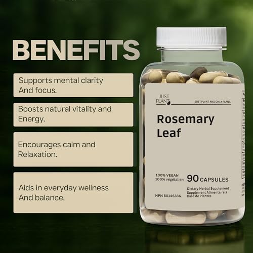Rosemary Leaf Extract 500mg, 90 Capsules | Herbal Supplement for Memory, Body & Hair Wellness | Vegan, Gluten Free | 45 Servings, Made in USA