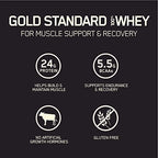 Optimum Nutrition Gold Standard 100% Whey Protein Powder, Cookies and Cream, 4.65 Pound (Packaging May Vary)