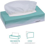 Windsoft 2360 Facial Tissue in Pop-Up Box, Box of 100 (Case of 30 Boxes)