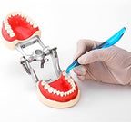 Dental Orthodontic Posterior Teeth Aesthetic Printing Kit
