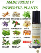Royal Aches & Pains Essential Oil Blend | Crafted Blend of 17 Powerful Essential Oils | Made in USA | Natural Comfort & Relaxation – Aromatherapy Roll-On for Muscles & Joints, Headache, Sinus – 10ml