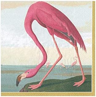 Caspari Audubon Birds Paper Cocktail Napkins, 20 Per Package