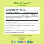 PURE SYNERGY Matcha Power | Organic Matcha Green Tea Capsules | Ceremonial Grade Supplement with EGCG | for Enhanced Energy & Alertness (90 Capsules)