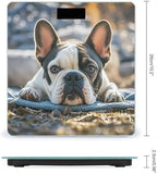 French Bulldog Dog Cute Smart Scale for Body Weight Accurate Digital Bathroom Scale with Large Display Weight Scales High Precision Weighing Machine