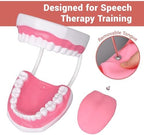 Ultrassist Mouth Model White Hinge for Speech Therapy, Ideal Brushing Teaching Dental Teeth Model for Kids and Children, 6 Times Enlarge, Includes Toothbrush