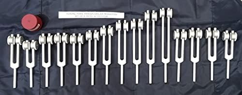 Human Organ Weighted 15 Set of Tuning Forks with Activator and Velvet Pouch (Pro)
