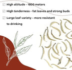 LWXLJMJZC-2.8oz/80g Silver Needle White Tea | Chinese Silver Tips Loose Leaf Tea | Yunnan Yin Zhen With Delicate Honeysuckle