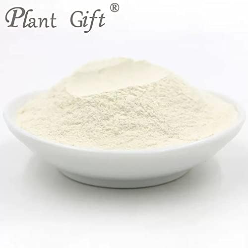 Plant Gift 100% Pure Onion Powder 洋葱粉 Natural Onion Flour, Great Flavor for Drinks, Adds Flavor and Taste Non-GMO Powder, No Filler, No additives 100G/3.25oz