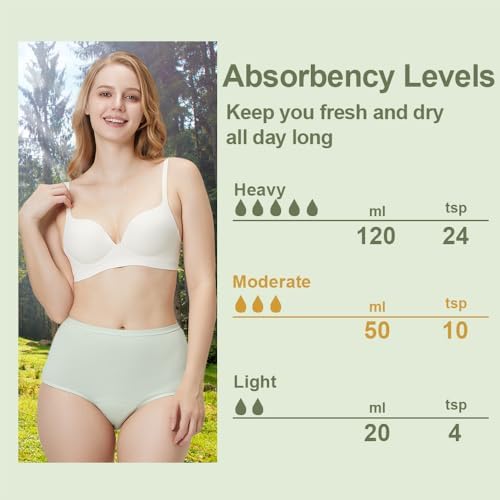 BATTEWA Washable Absorbency Incontinence Regular Underwear for Women, Reusable Leak Proof Protection Panties for Bladder Leakage(5Color, X-Large, 5 Pack)