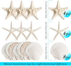 16 Pieces Starfish and Scallop Shells for Crafts 2.6"-3.8" Large Seashells Natural Sea Shells for Crafts Christmas Decor Beach Party Wedding Fishtank