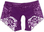 Womens Sexy Cheeky Underwear Seamless Panties Mesh Lace Bikini Briefs See Through Sheer Slutty Naughty Sex Lingerie