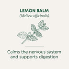 Traditional Medicinals - Organic Lemon Balm Herbal Tea (6 Pack) - Stress Relief & Supports Digestion - 96 Tea Bags Total