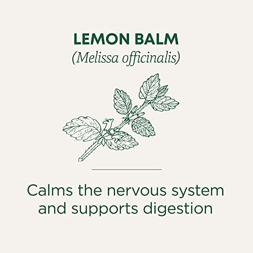 Traditional Medicinals - Organic Lemon Balm Herbal Tea (6 Pack) - Stress Relief & Supports Digestion - 96 Tea Bags Total