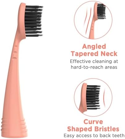 Replacement Toothbrush Heads with Covers for Burst (10 Count, Rose Gold)