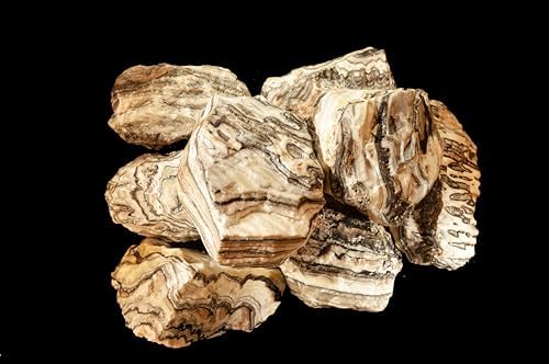 Zebra Onyx 4" 2 Lb Chakra Healing Crystal Rough Rock Mineral Raw Specimen