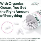 Organics Ocean Pure Magnesium Glycinate with Zinc - Maximum Strength Chelated Magnesium Supplement for Women and Men for Muscle Cramps and Sleep Support - 90 Capsule