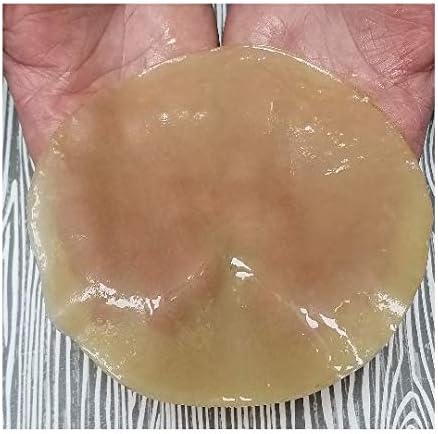 Raw Apple Cider Vinegar Starter Kit with Extra Large Mother Culture Makes a Gallon of Quality ACV at Home